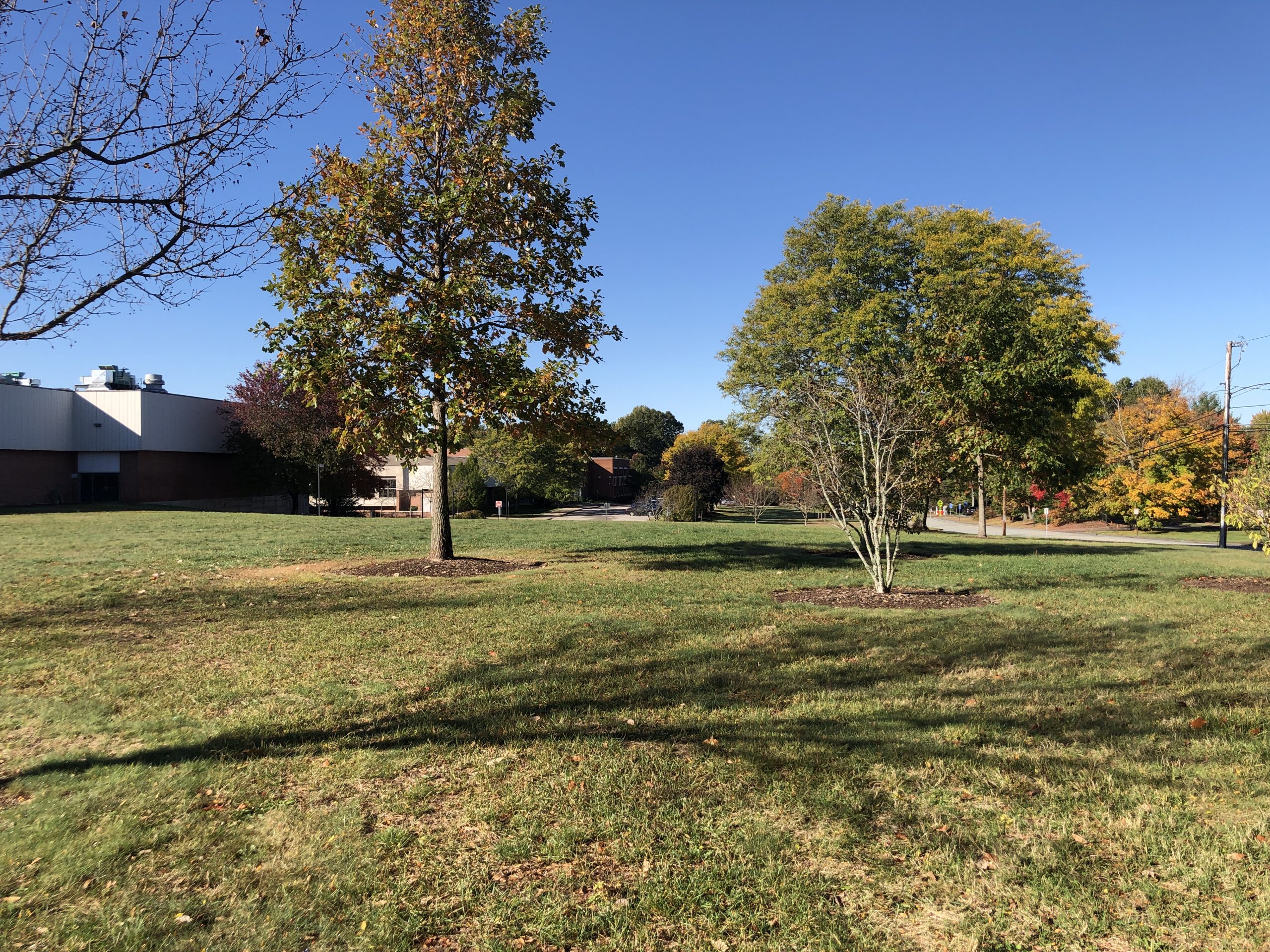 Independent Living for Christian Scientists in Glastonbury, Connecticut