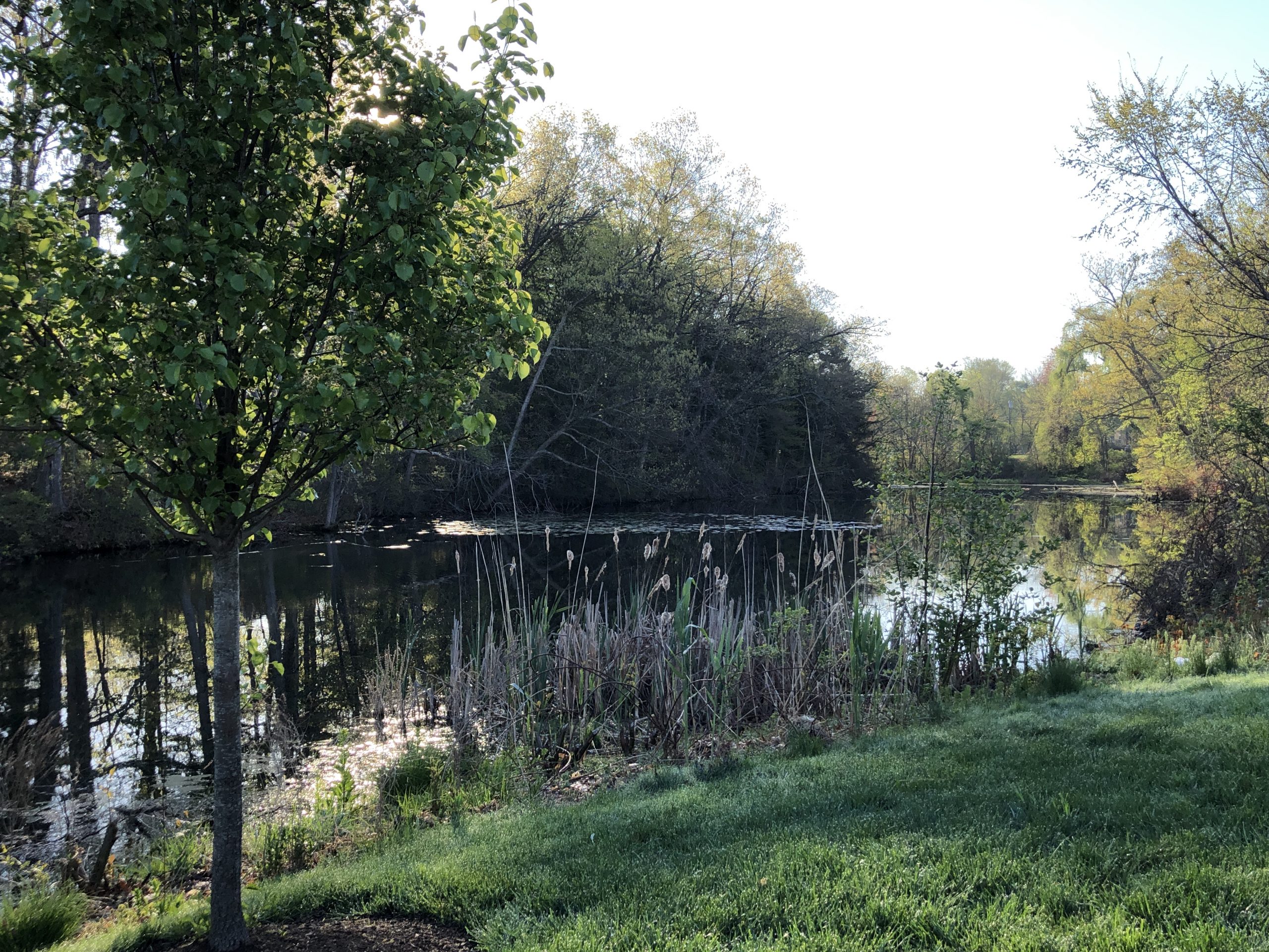 Independent Living for Christian Scientists in Glastonbury, Connecticut