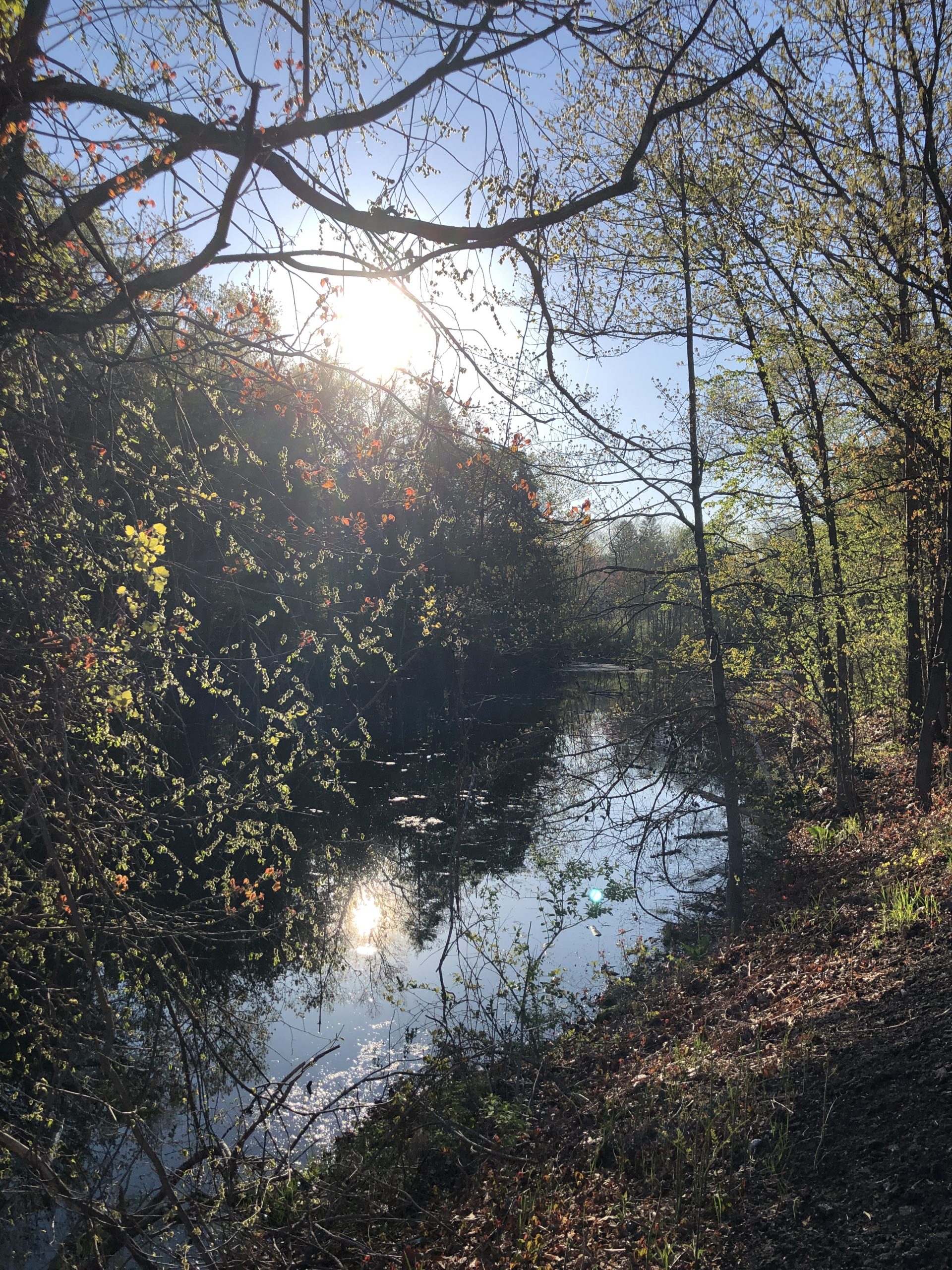 Independent Living for Christian Scientists in Glastonbury, Connecticut